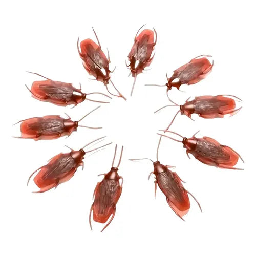 CUCARACHAS DE PLASTICO MARRONES 9PCS
